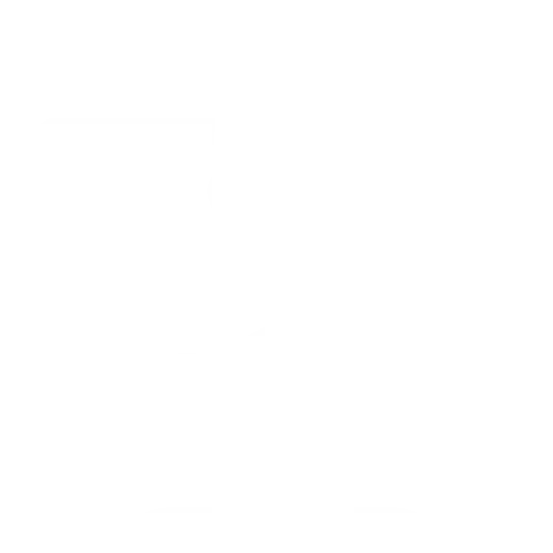 meta and google ads agency in nagpu