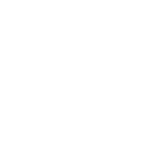 seo optimization near me